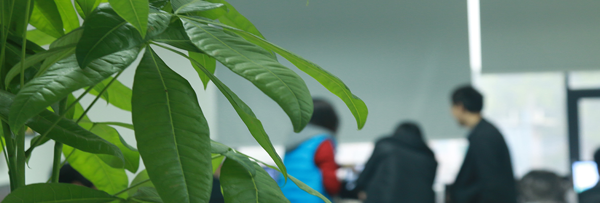 千寻网络公司实景图片